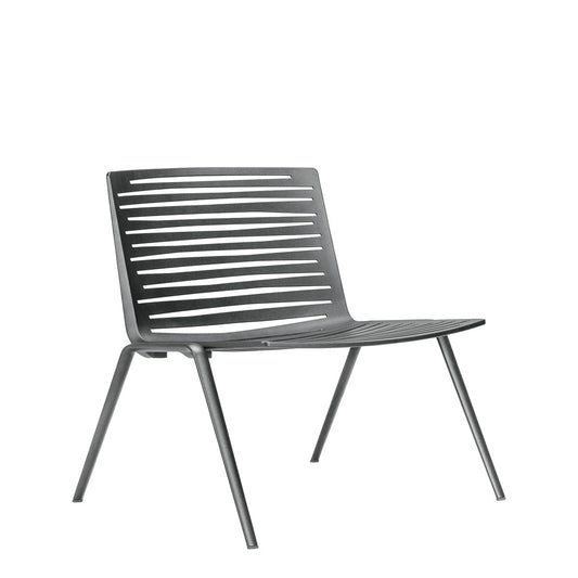 Zebra Lounge Chair
