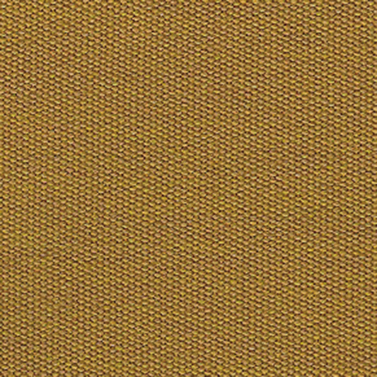 Spinnaker/Sepia