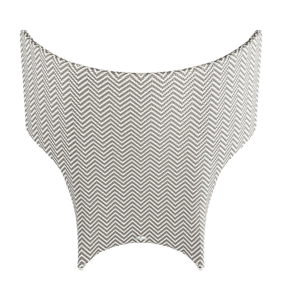 Orchid LC BV Palladium Limestone