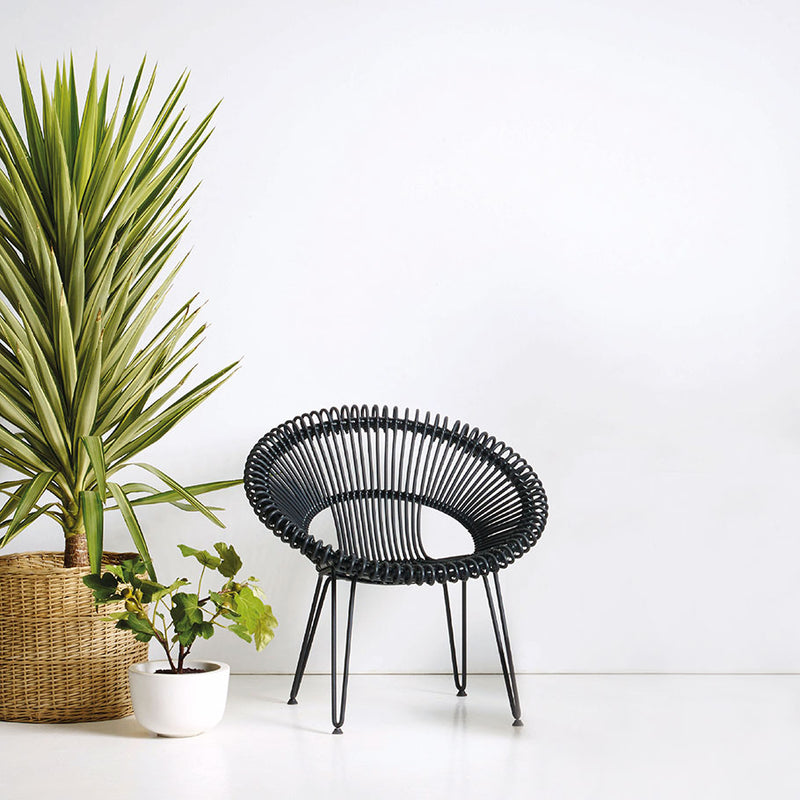 Roy Lounge Chair