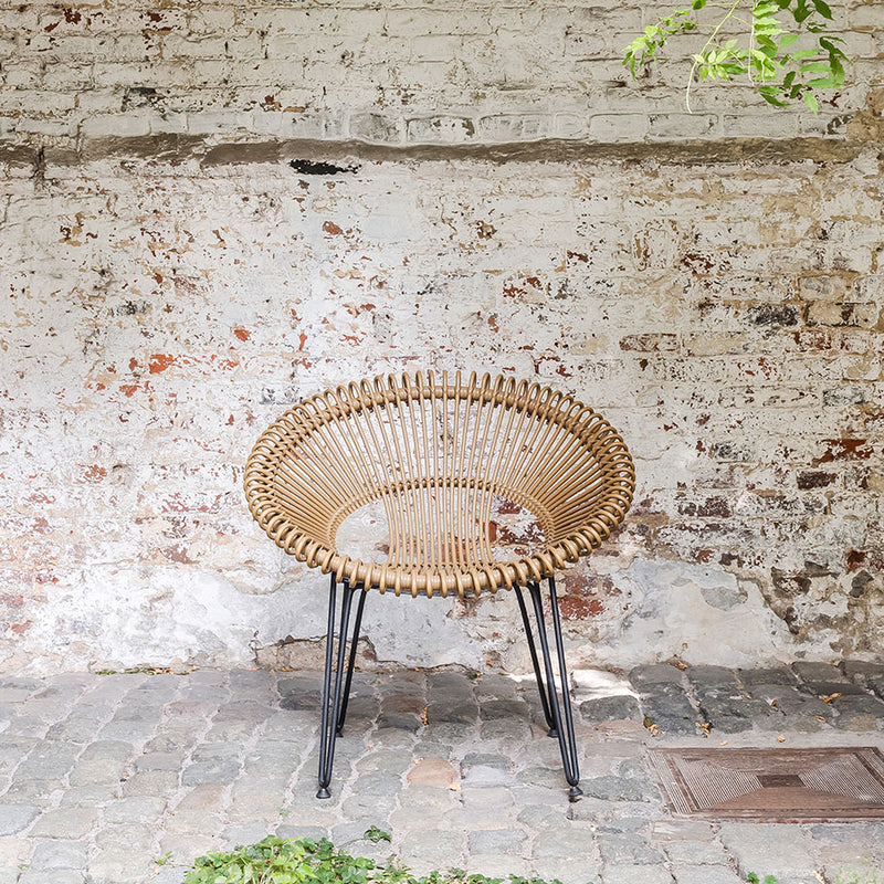 Roy Lounge Chair