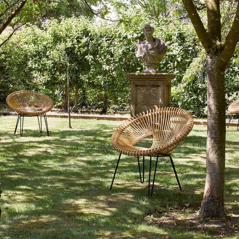 Roy Lounge Chair