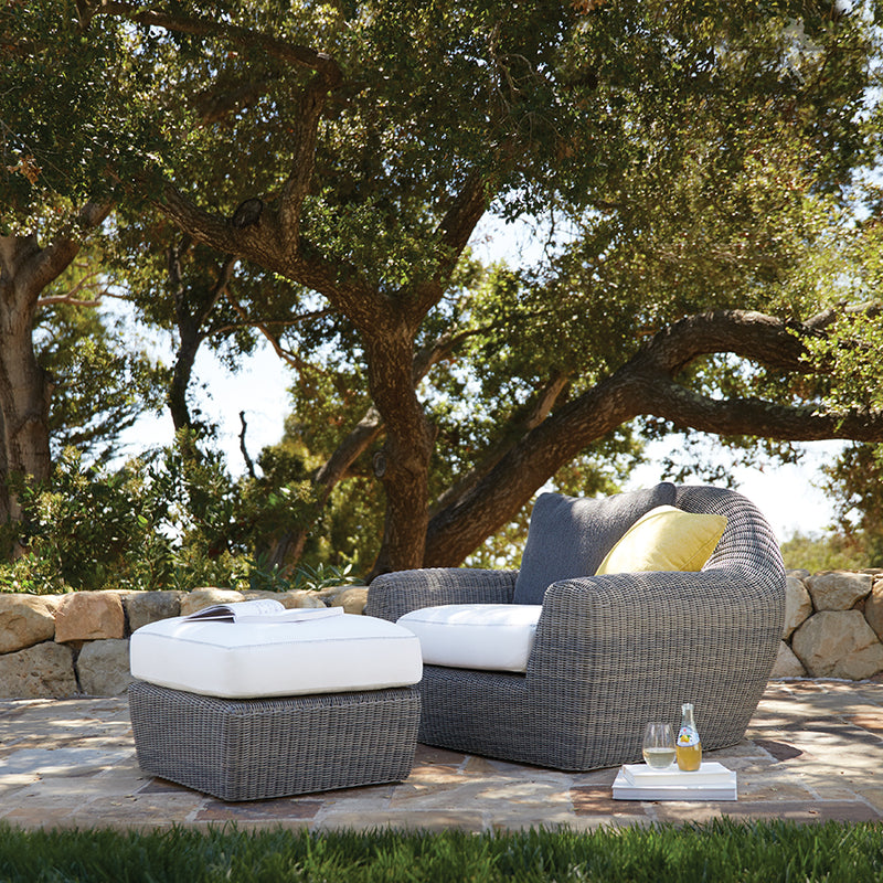 Rush Lounge Chair
